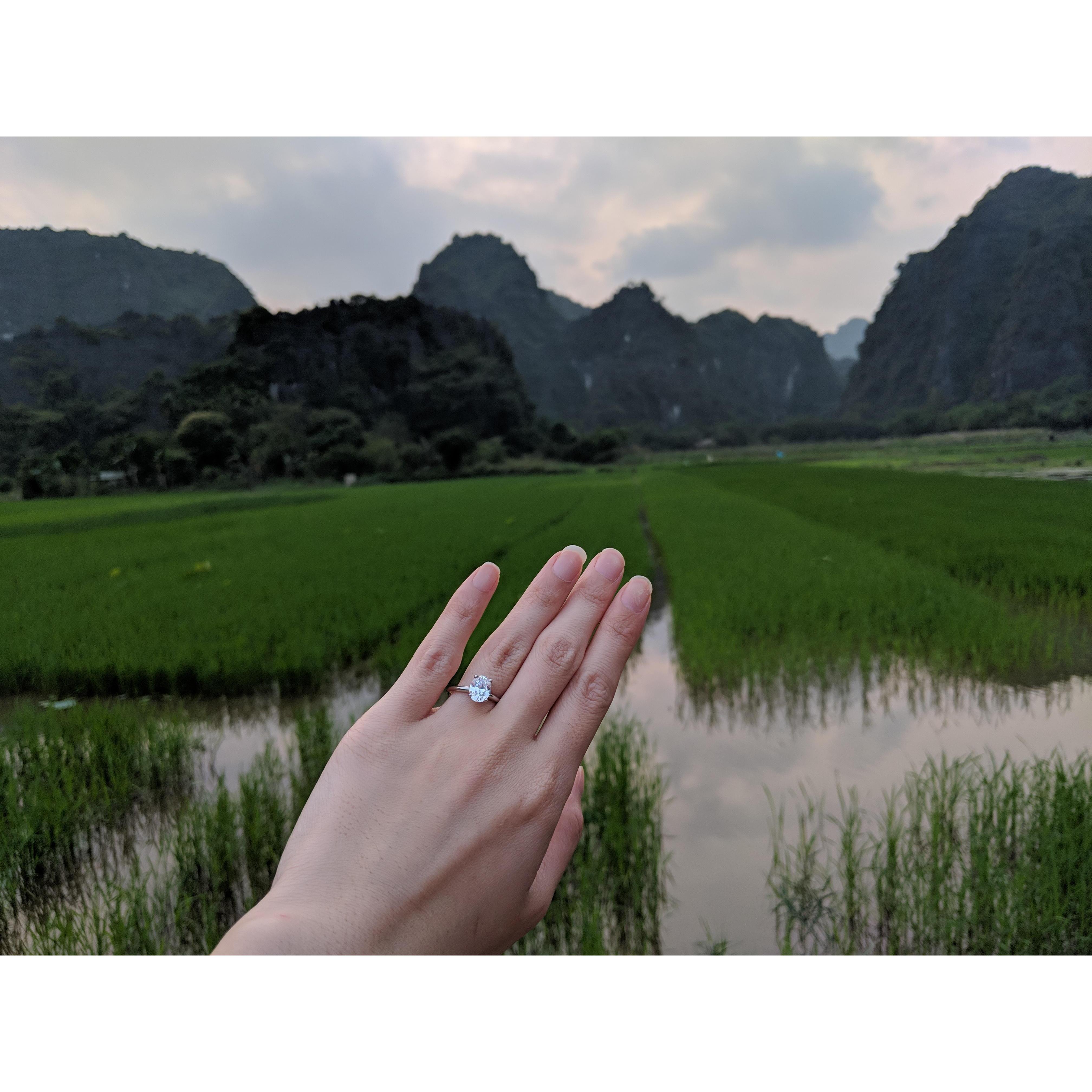 The beautiful rice paddies of Ninh Binh where Steven proposed.