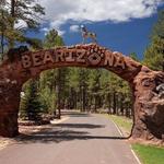 Bearizona Wildlife Park