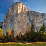 El Capitan Meadow