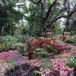 Mead Botanical Garden