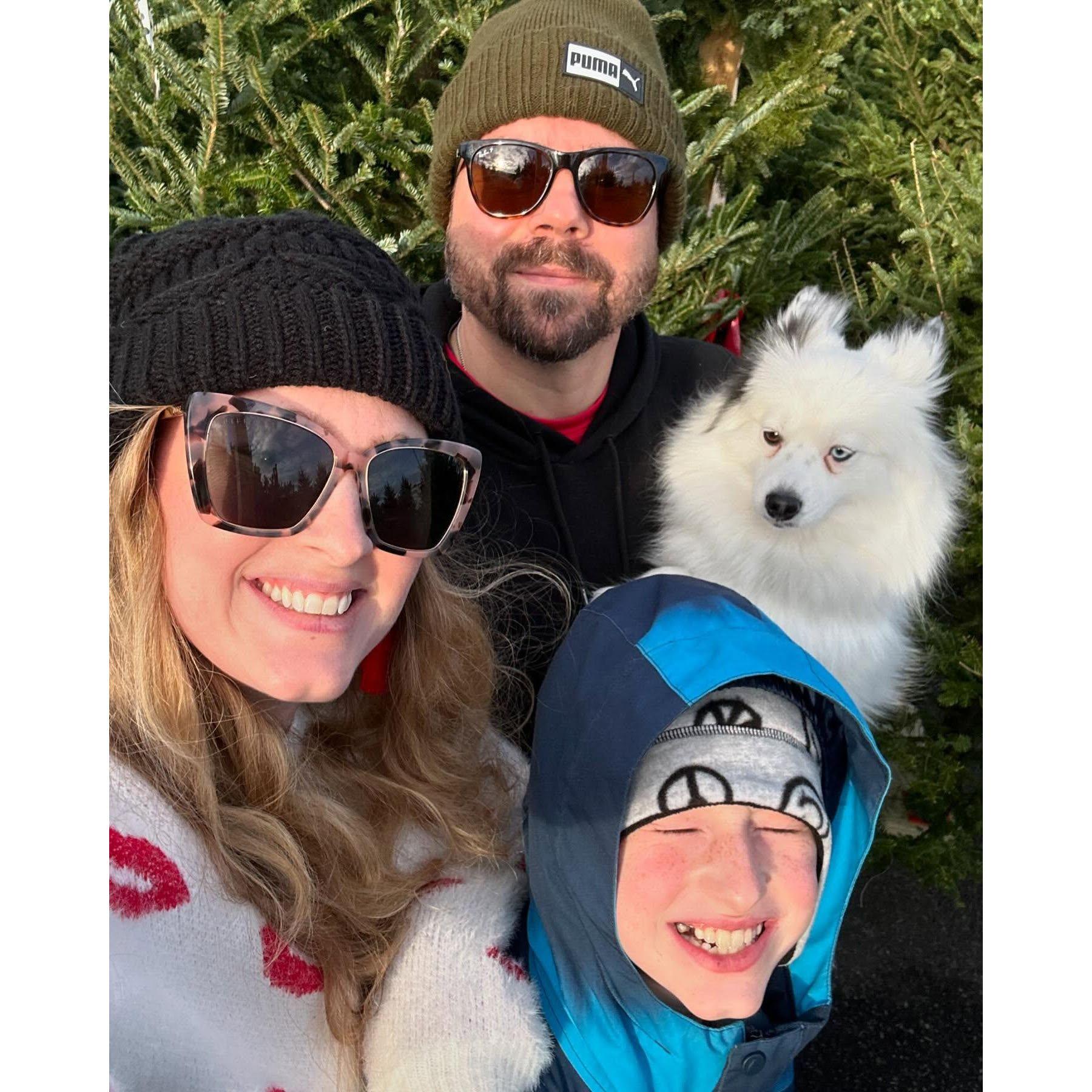 Our first live Christmas tree experience as a family!