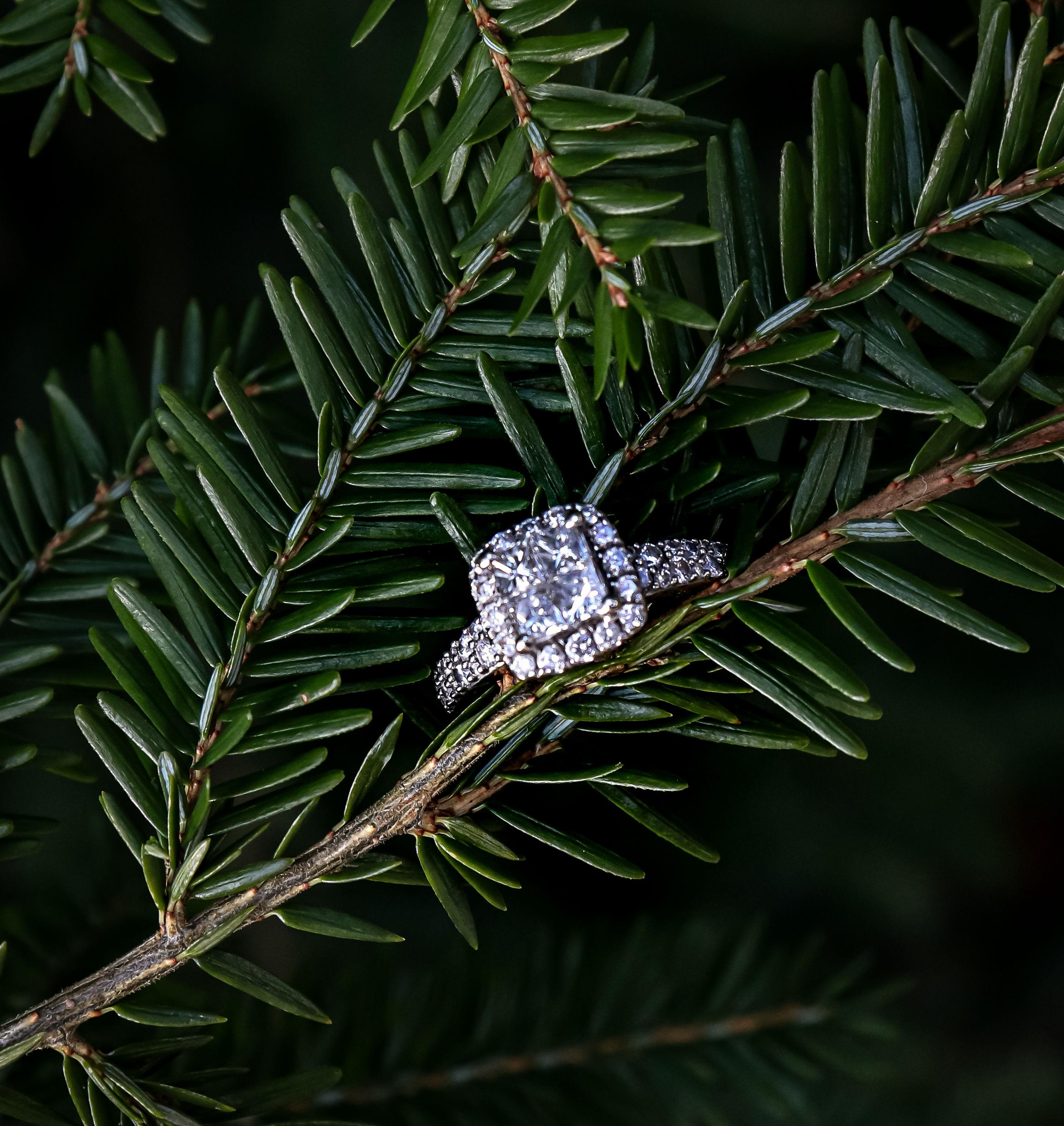 The Wedding Website of Jeremy Hall and Morgan Waugh
