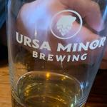 Ursa Minor Brewing