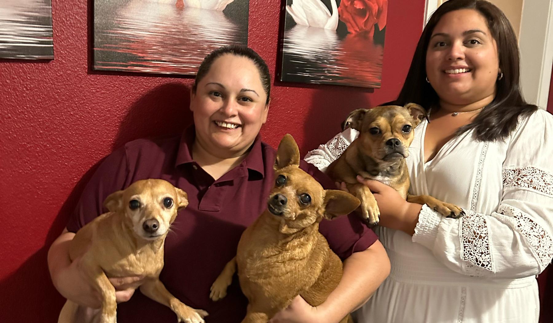 The Wedding Website of Layla Tavakol and Sara Sertuche