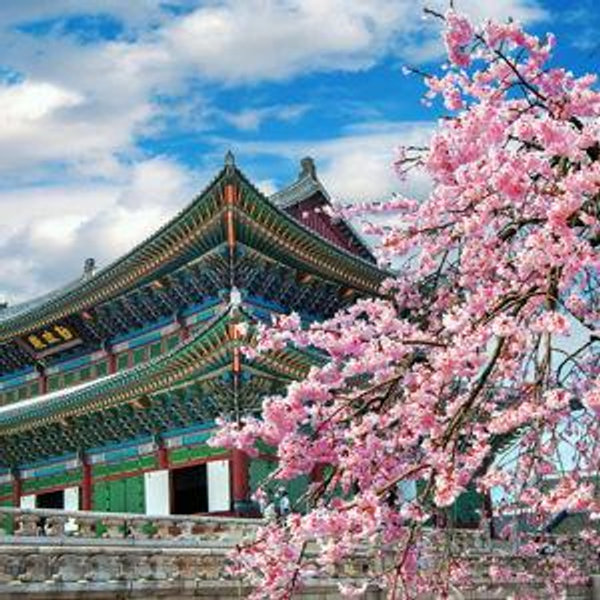 Honeymoon Fund - South Korea!