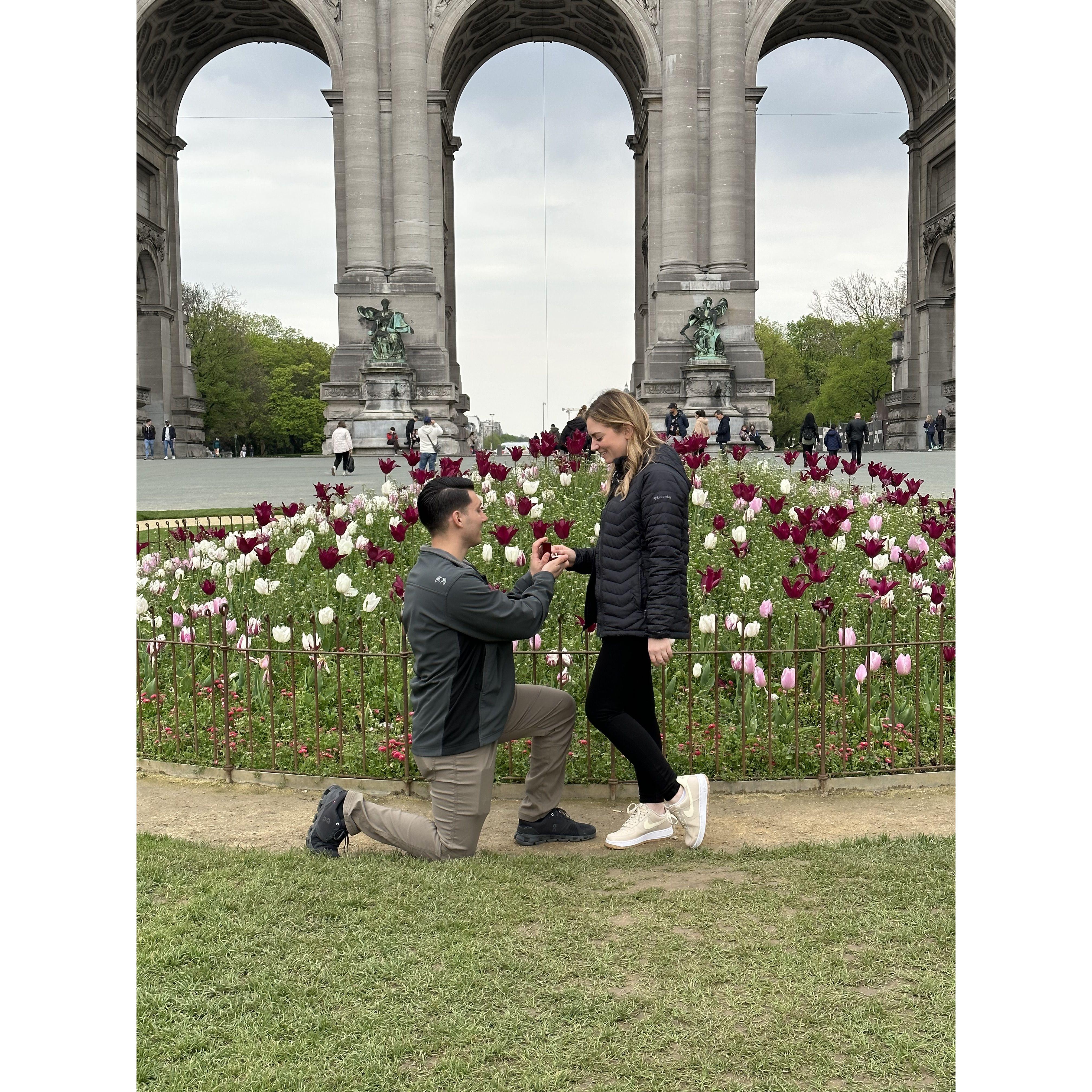 The proposal in Parc du Cinquantenaire