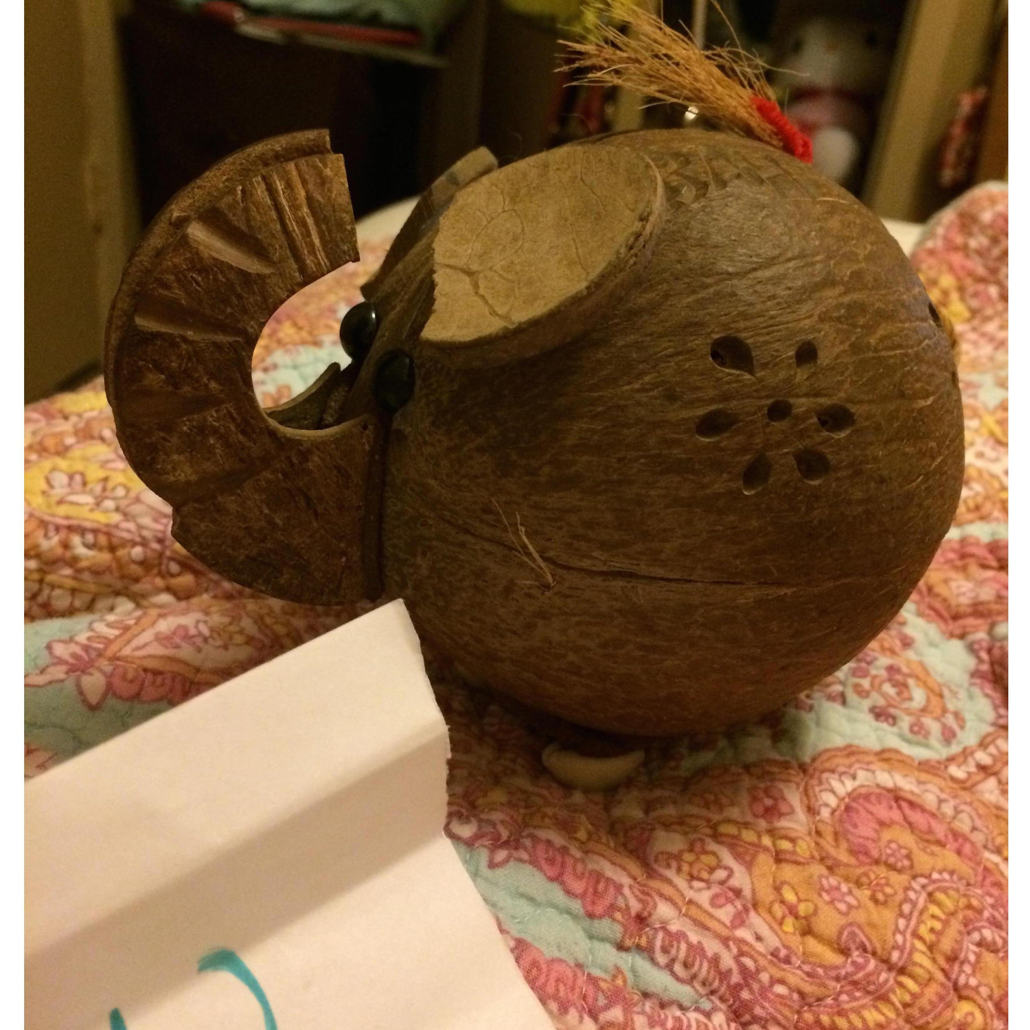 Ryan brought me a note in this elephant coconut that said "will you be my girlfriend yes or yes?"