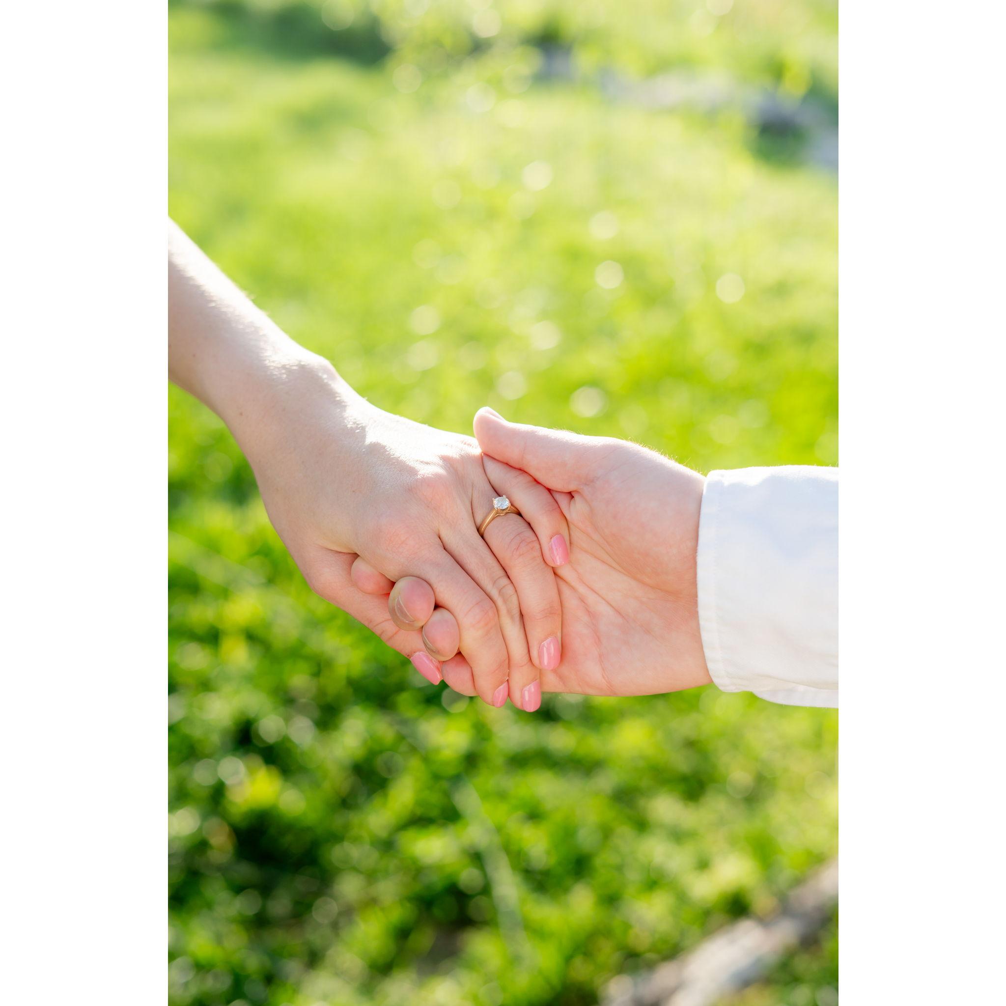 Engagement Pictures