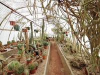 Moorten Botanical Garden