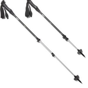 REI Co-op   Passage Trekking Poles - Pair