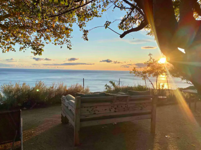 The Wedding Website of Stella Carnegie and Bryce Beisswanger