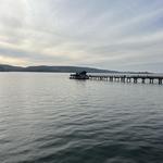 Nick's Cove
