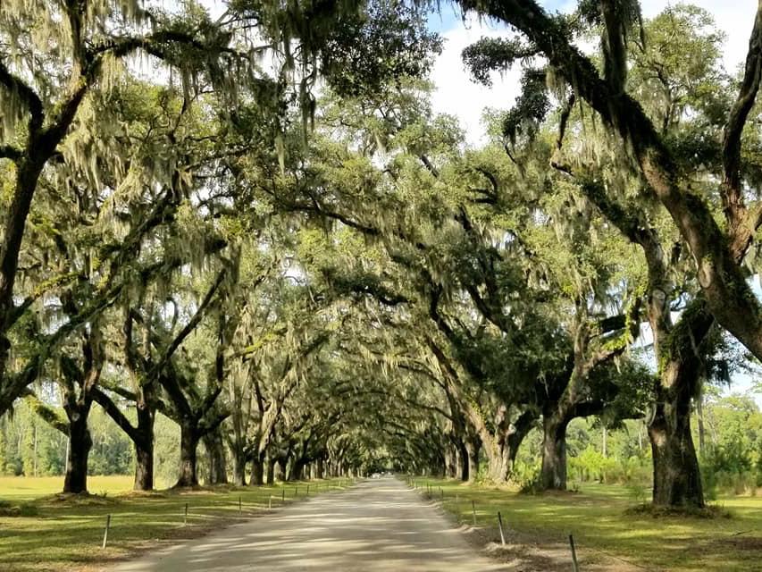 The Wedding Website of Megan Parker and Thomas Rayburn