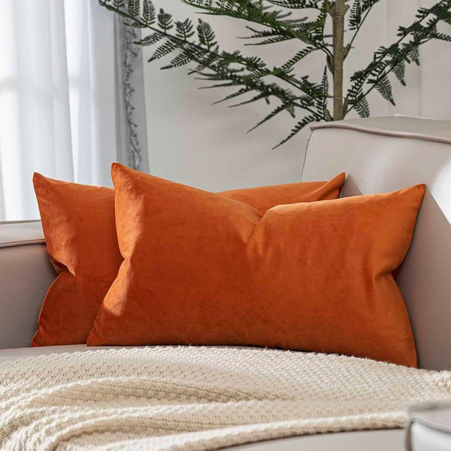JUSPURBET Couch Pillow Covers Set of 2 Decorative Velvet Throw Pillow Covers Cases for Living Room Home Decor Soft Lumbar Cushion Covers with Hidden Zipper for Sofa Bed,Burnt Orange,12x20 inch