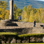 Opus 40