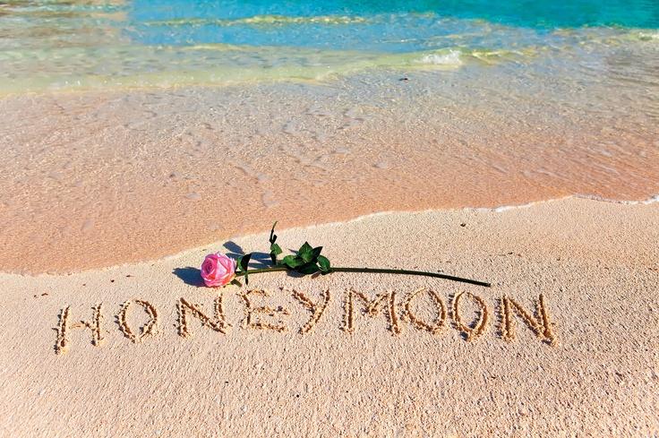 ed4e5ebc-efcd-4e94-83ee-be9554435505