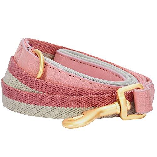 Blueberry Pet 11 Patterns Vintage Polyester Webbing & Genuine Leather Combo Dog Collars Leashes
