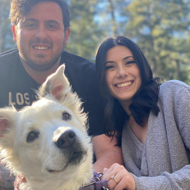 Pet Boarding for Wedding Weekend
