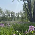 Pheasant Branch Conservancy