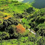 Day Trip to Don Salvador Benedicto
