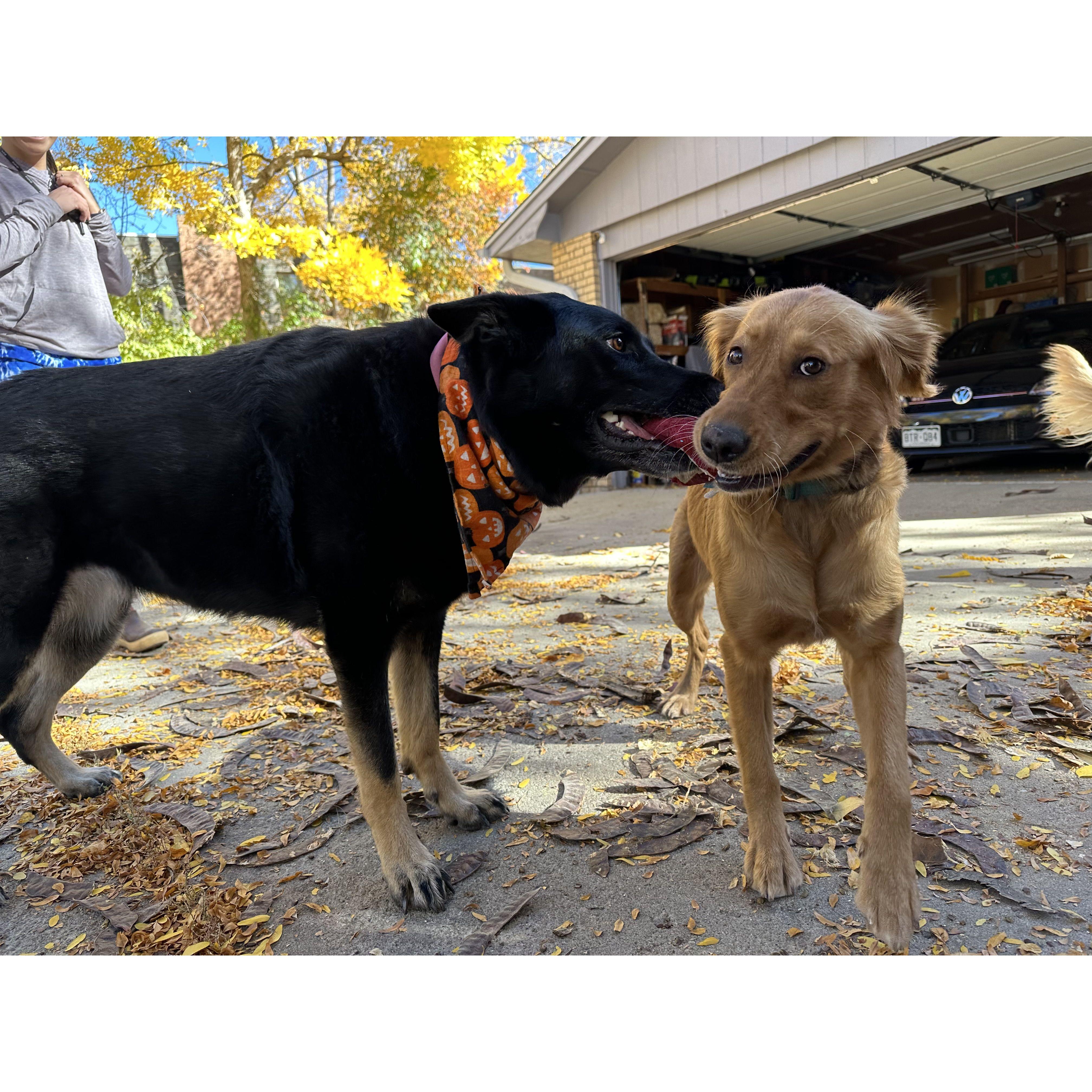 Talia and Max learning how to play with each other