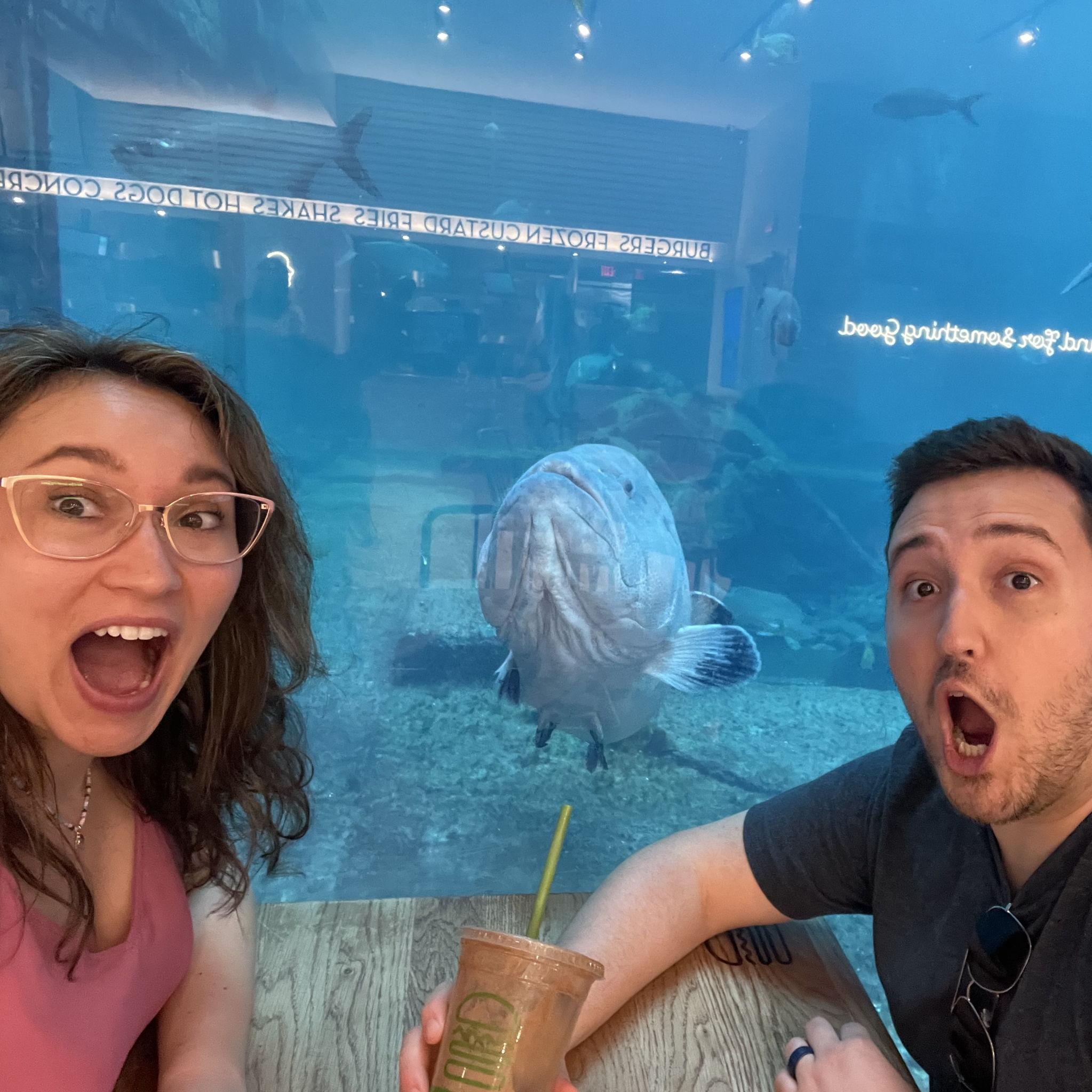 Can't believe we had Shake Shack at the Atlantis with a fishie!