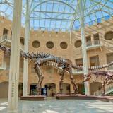 Fernbank Museum | 3D Theater | Forest