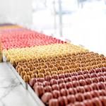 Bottega Louie