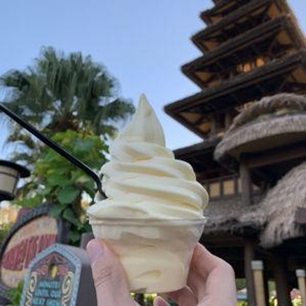 Dole Whip and Mickey Pretzel Fund