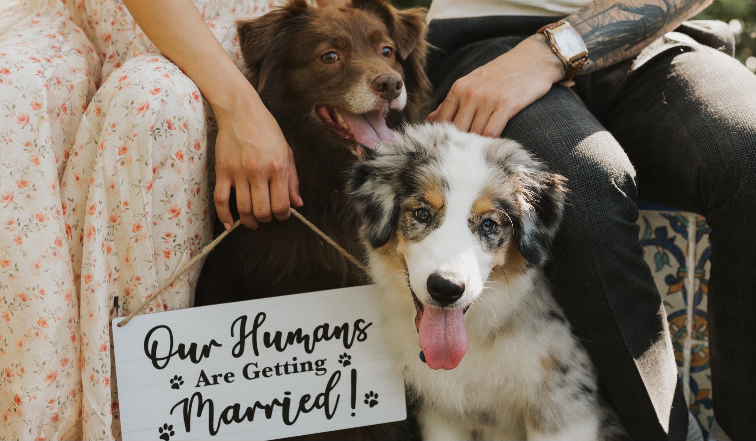 The Wedding Website of Naomi Hope Balingcongan and Ryan Michael Rampolla