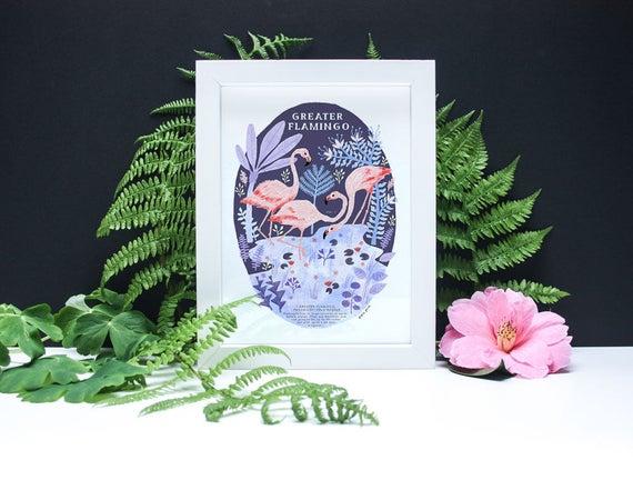Natural History Flamingo - A4 or A3 Artists Print