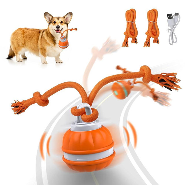 Salodal Peppy Pet Ball for Dogs - Interactive Motion Activated Rolling Ball for Puppies/Small Dogs, Automatic Moving Toy, USB Rechargeable
