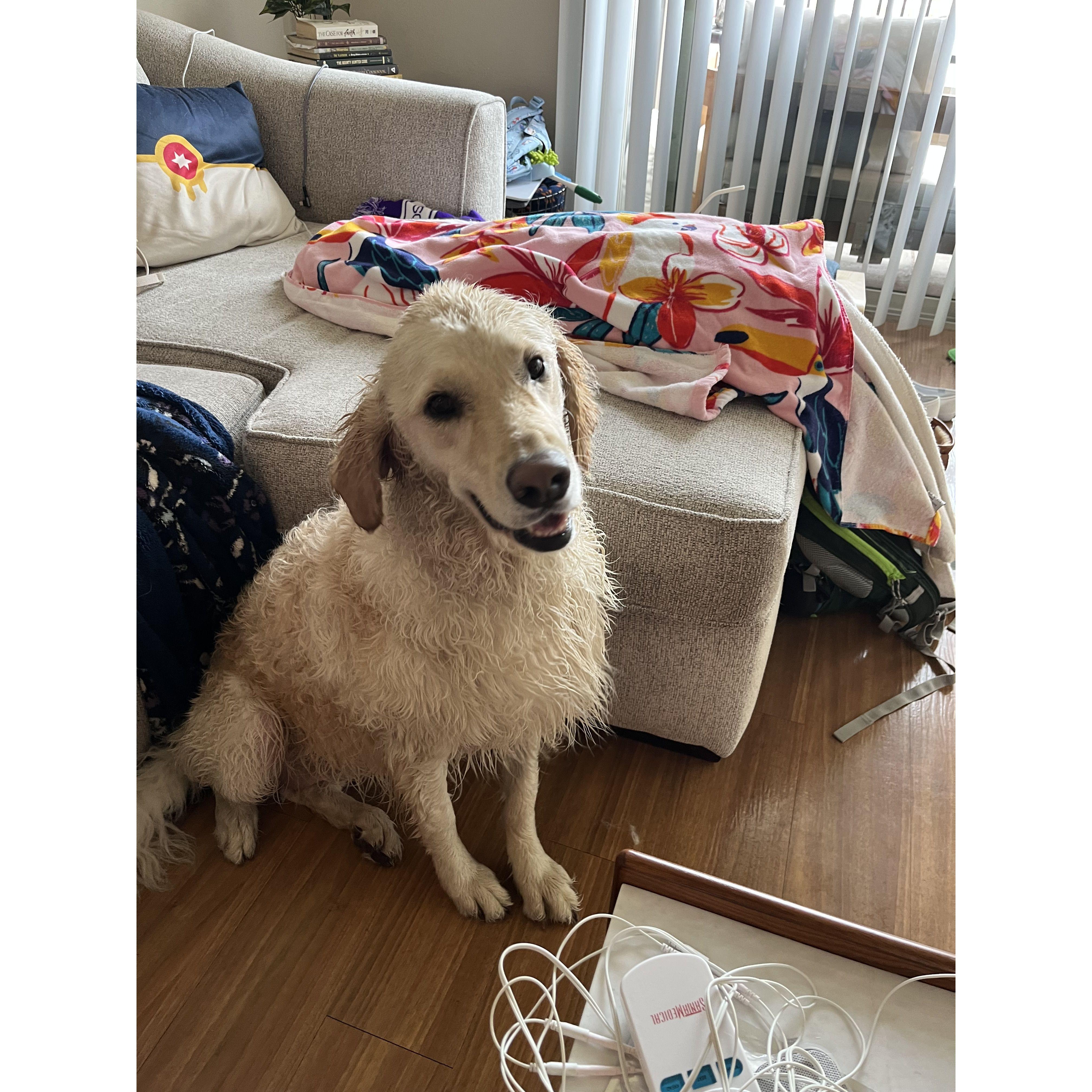 Maci’s curly hair post-bath