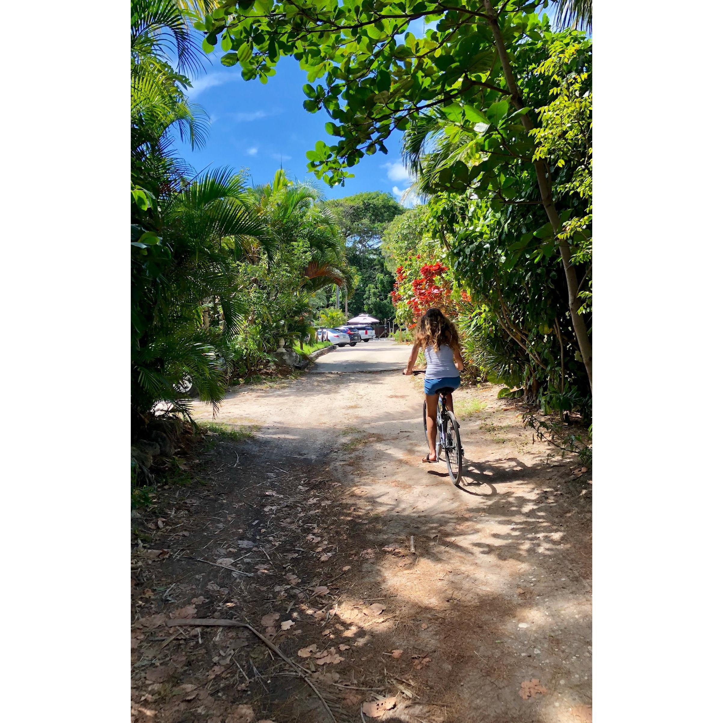 Biking through Ocean Ridge