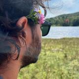 Pick wildflowers at Blueberry Lake