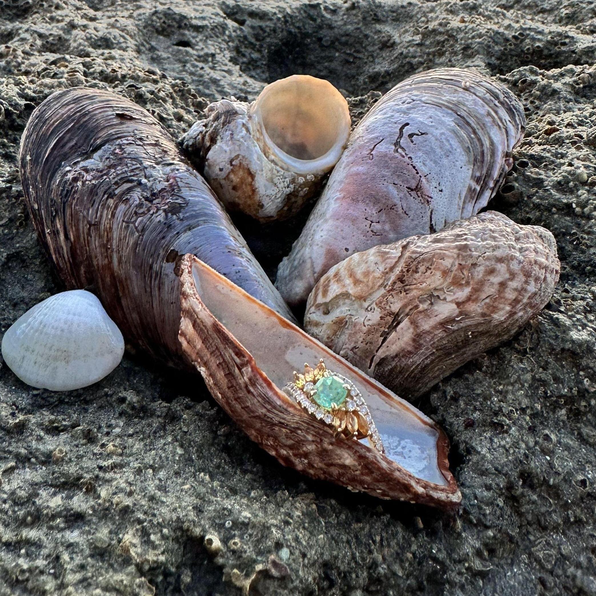 2024, Engagement Trip