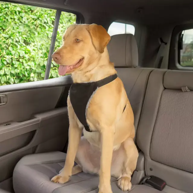 Premier Pet™ Large Dog Car Safety Harness in Black