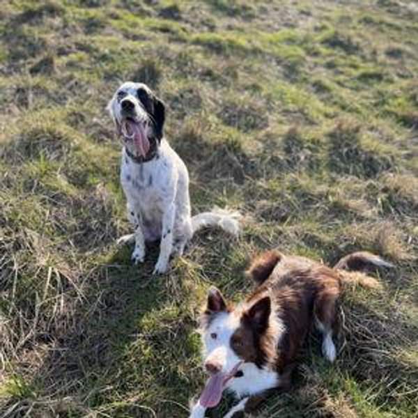 Kora & Zephyr's Treat Fund