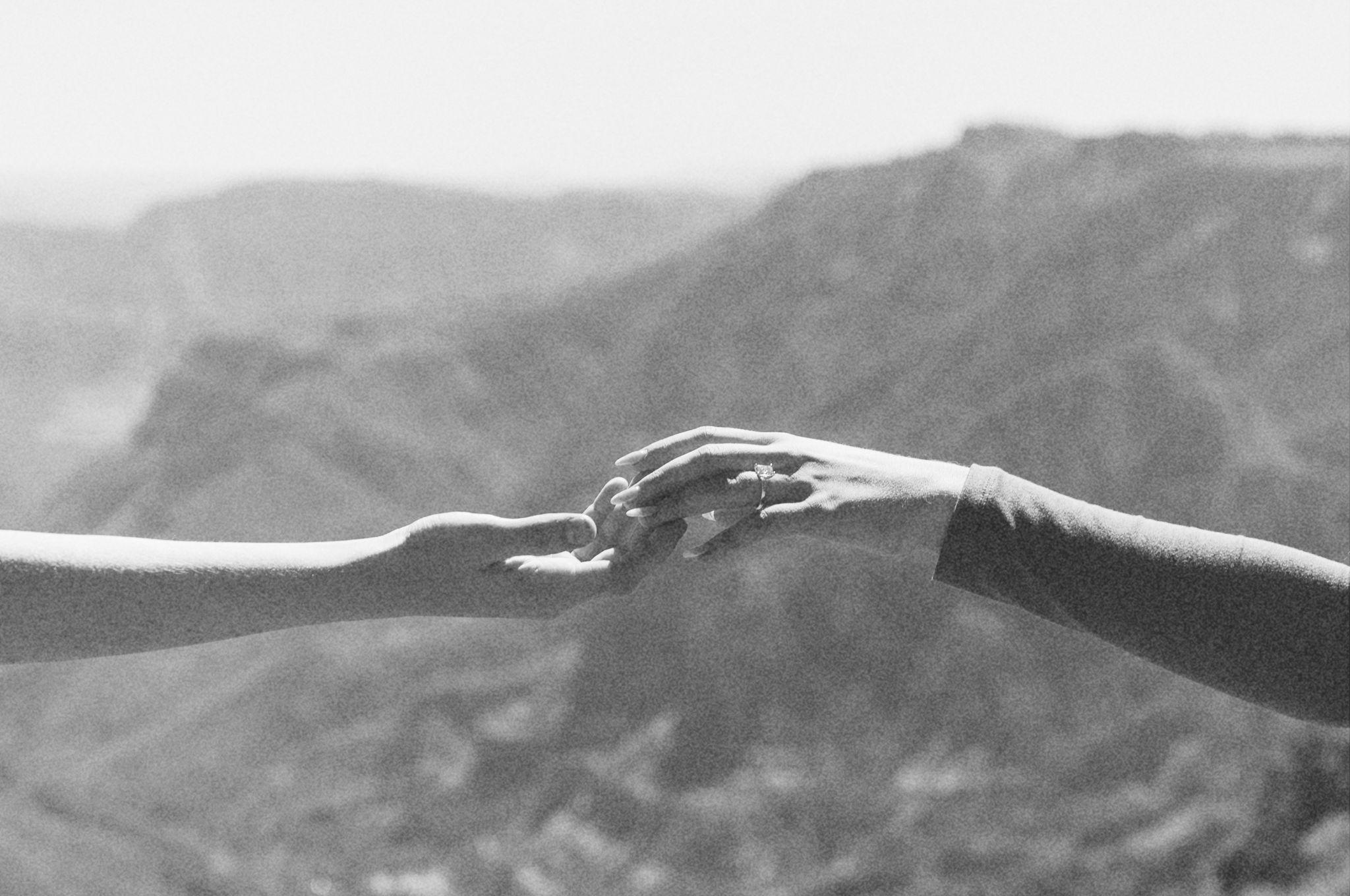 The Wedding Website of Joshua Knapp and Gracelyn Petrossian