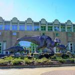 Fernbank Museum