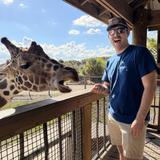 Safari Wilderness