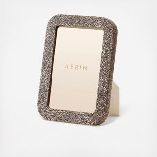 Modern Shagreen 4x6 Frame