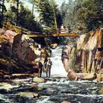 Chester Creek Hiking Trails Hub