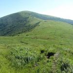 Roan Mountain