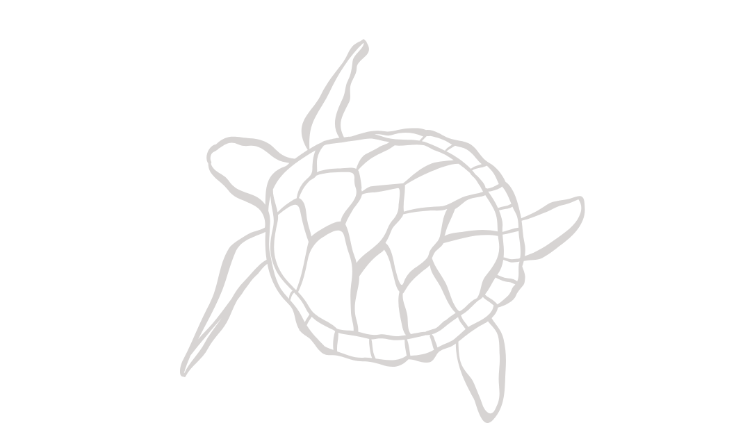 Footer image