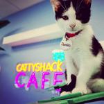 Cattyshack Cat Cafe