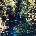 Hidden Falls Nature Park