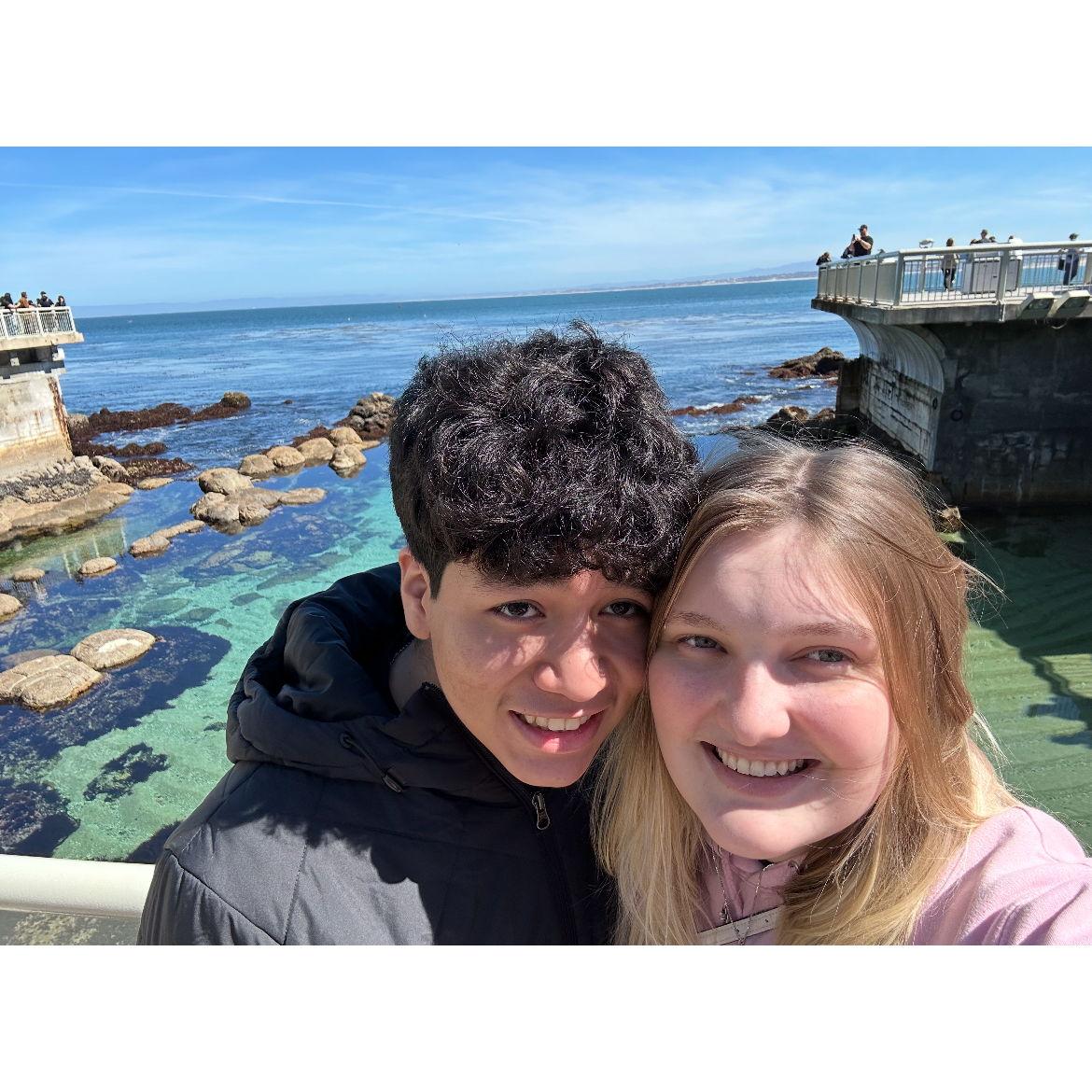 Monterey Bay Aquarium, CA