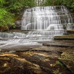 Pisgah Forest