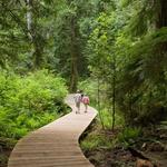 Grand Forest West